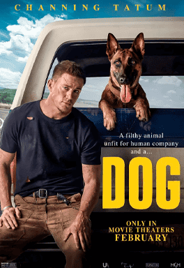 DOG – A Aventura de Uma Vida
